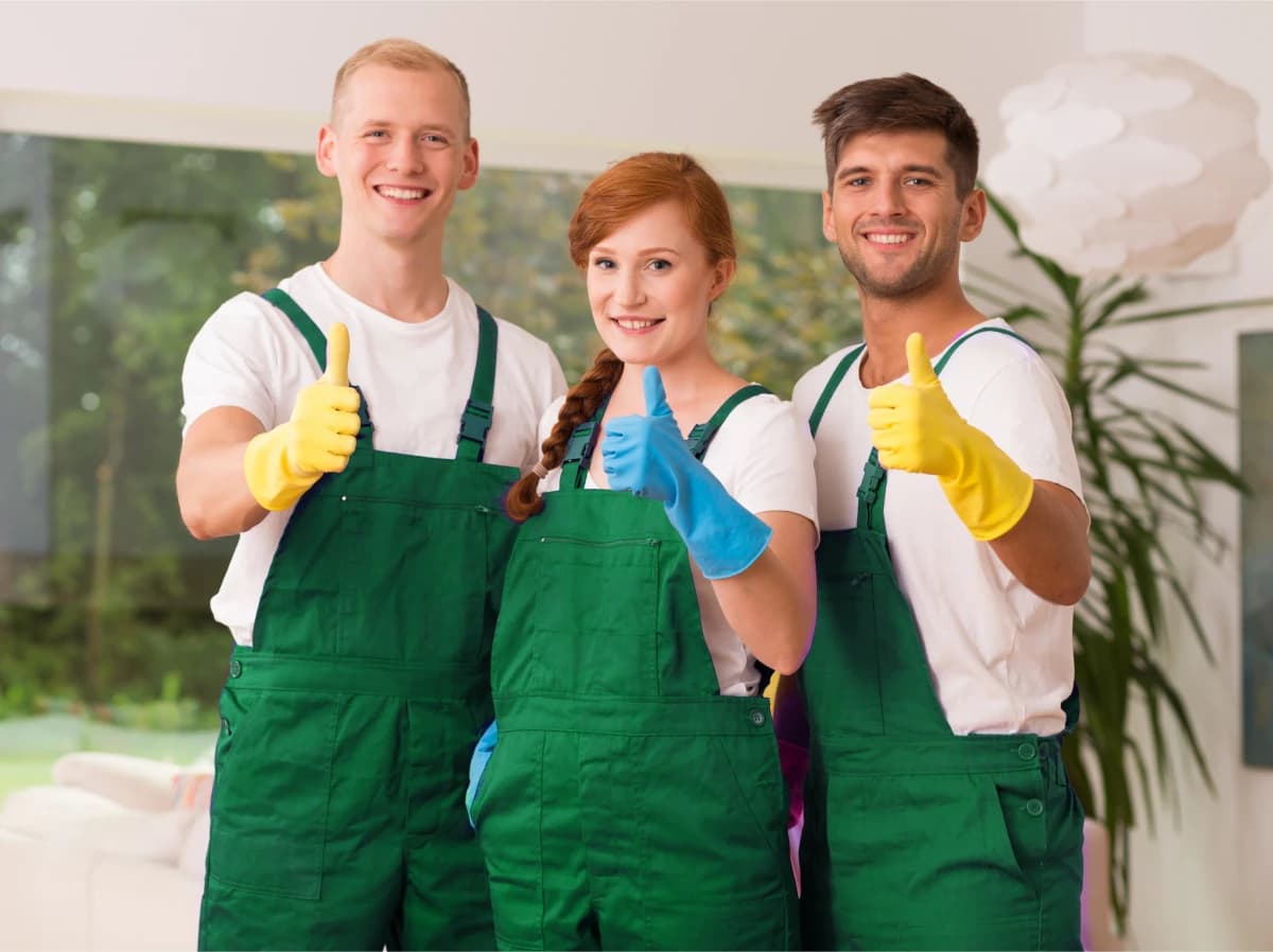 Green Cleaning Solutions: Safe for Kids, Pets, and the Environment