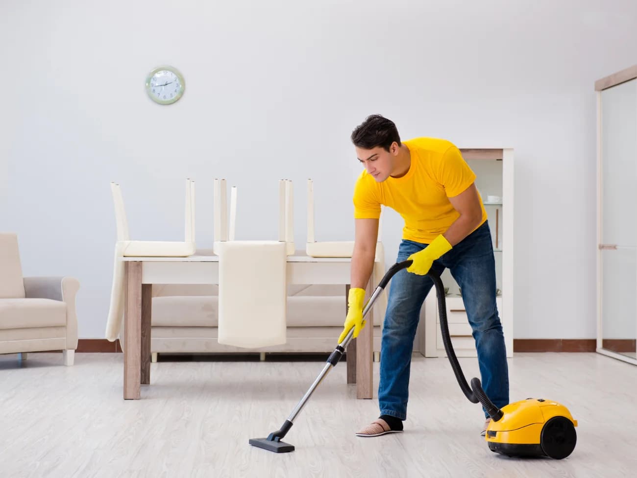 Pet Owners' Guide to a Hair-Free, Odor-Free Home