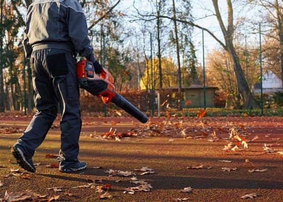 Yard & Outdoor Cleaning